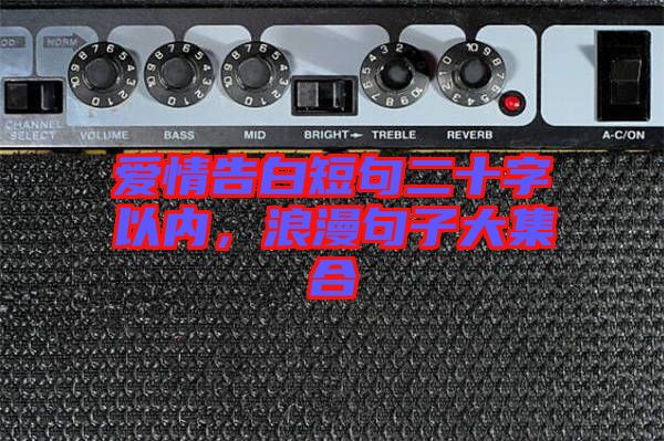 愛情告白短句二十字以內(nèi)，浪漫句子大集合