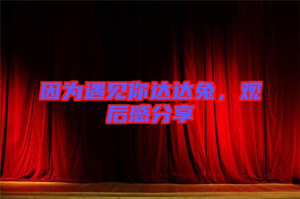 因為遇見你達達兔，觀后感分享