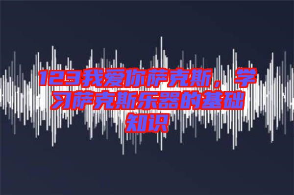 123我愛你薩克斯，學(xué)習(xí)薩克斯樂器的基礎(chǔ)知識