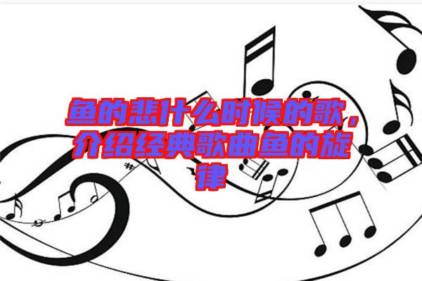 魚的悲什么時候的歌，介紹經(jīng)典歌曲魚的旋律
