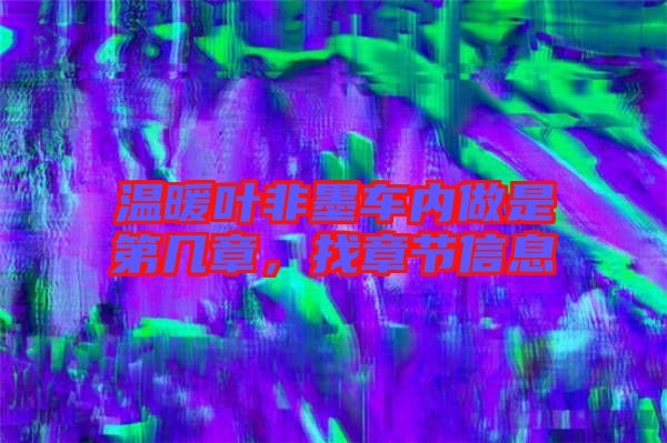 溫暖葉非墨車內做是第幾章，找章節(jié)信息