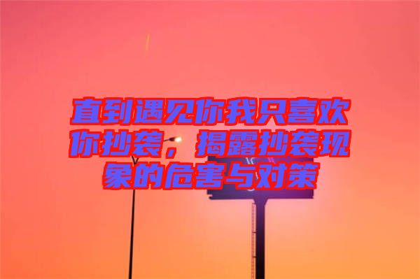 直到遇見你我只喜歡你抄襲，揭露抄襲現(xiàn)象的危害與對策