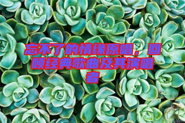 忘不了的情緣原唱，回顧經(jīng)典歌曲及其演唱者