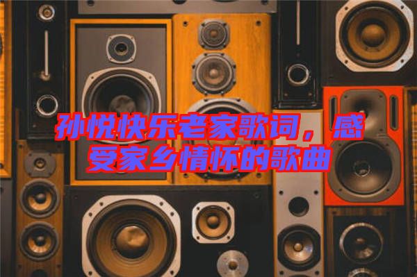 孫悅快樂(lè)老家歌詞，感受家鄉(xiāng)情懷的歌曲