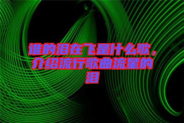 誰(shuí)的淚在飛是什么歌，介紹流行歌曲流星的淚