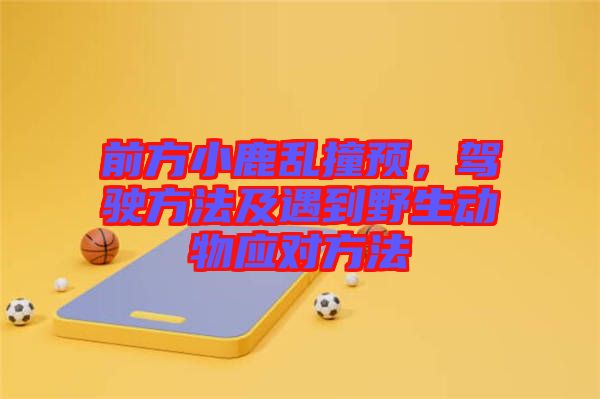 前方小鹿亂撞預，駕駛方法及遇到野生動物應對方法