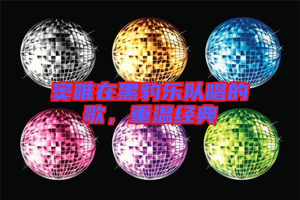 竇唯在黑豹樂隊(duì)唱的歌，重溫經(jīng)典