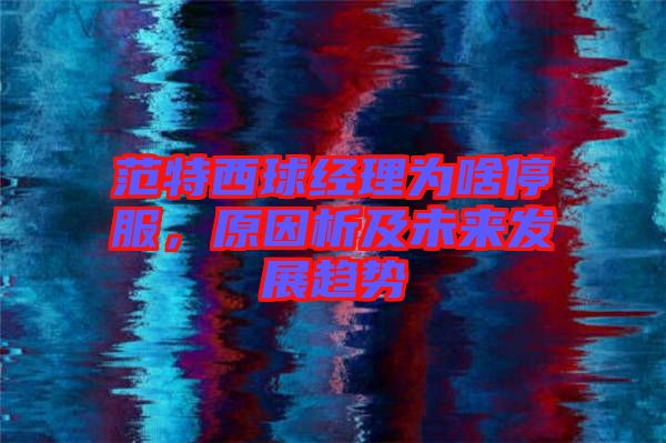 范特西球經(jīng)理為啥停服，原因析及未來發(fā)展趨勢