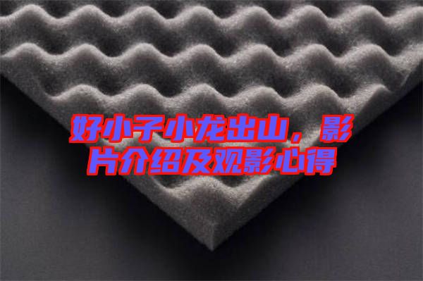 好小子小龍出山，影片介紹及觀影心得