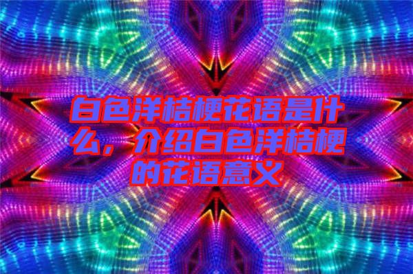 白色洋桔?；ㄕZ是什么，介紹白色洋桔梗的花語意義