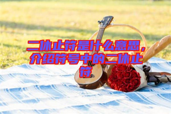 二休止符是什么意思，介紹符號中的二休止符