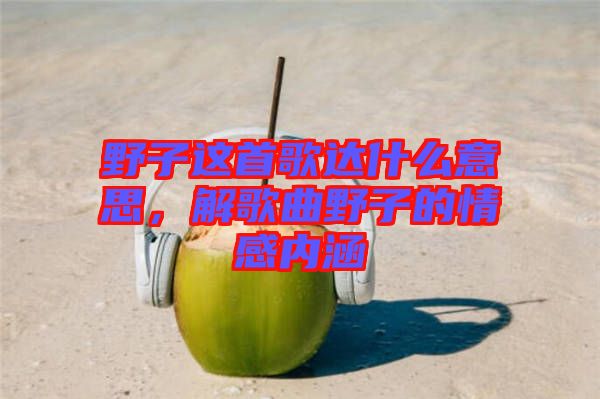 野子這首歌達(dá)什么意思，解歌曲野子的情感內(nèi)涵