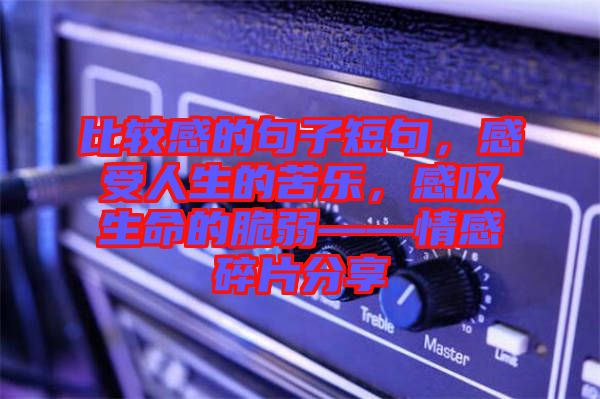 比較感的句子短句，感受人生的苦樂，感嘆生命的脆弱——情感碎片分享
