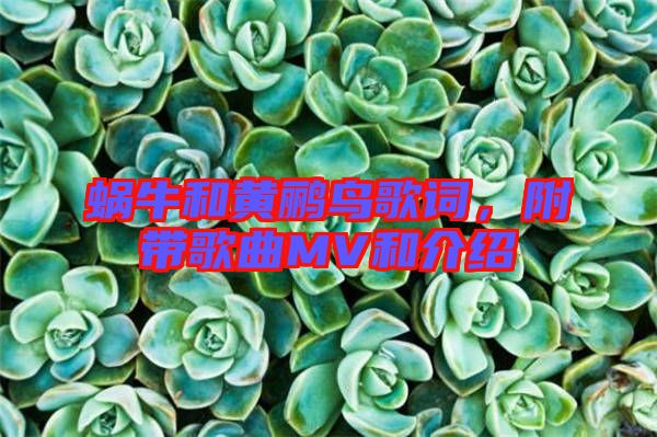 蝸牛和黃鸝鳥歌詞，附帶歌曲MV和介紹