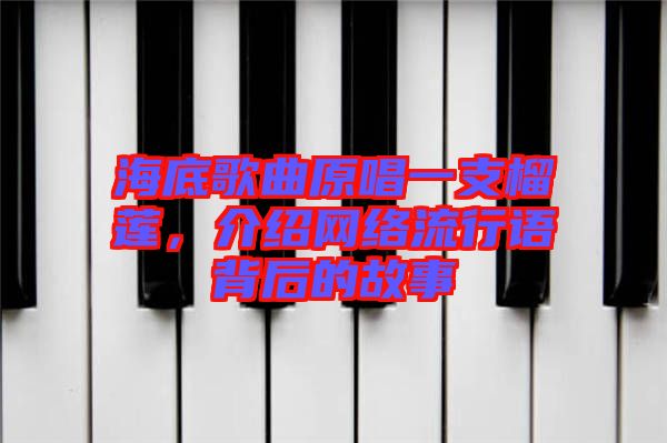 海底歌曲原唱一支榴蓮，介紹網(wǎng)絡(luò)流行語背后的故事