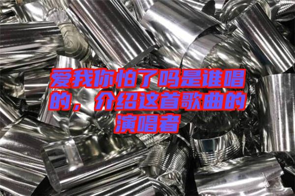 愛我你怕了嗎是誰唱的，介紹這首歌曲的演唱者