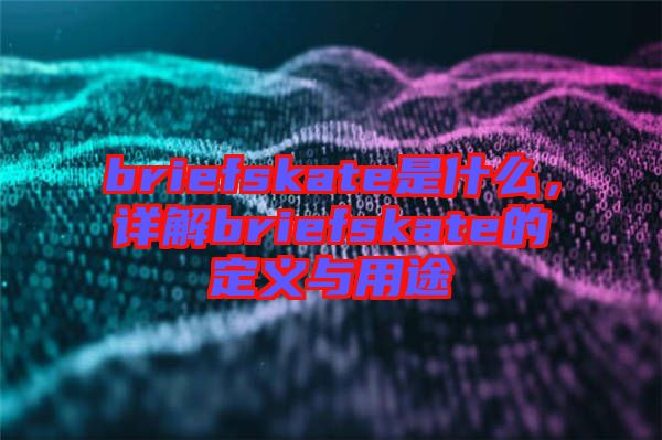 briefskate是什么，詳解briefskate的定義與用途