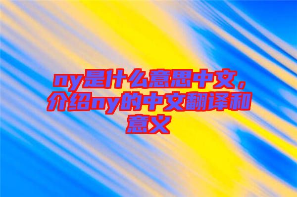 ny是什么意思中文，介紹ny的中文翻譯和意義