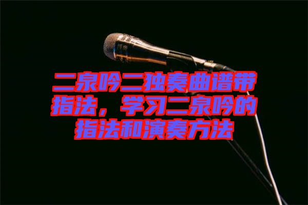 二泉吟二獨奏曲譜帶指法，學習二泉吟的指法和演奏方法