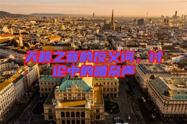 天籟之音的反義詞，討論中的嘈雜聲