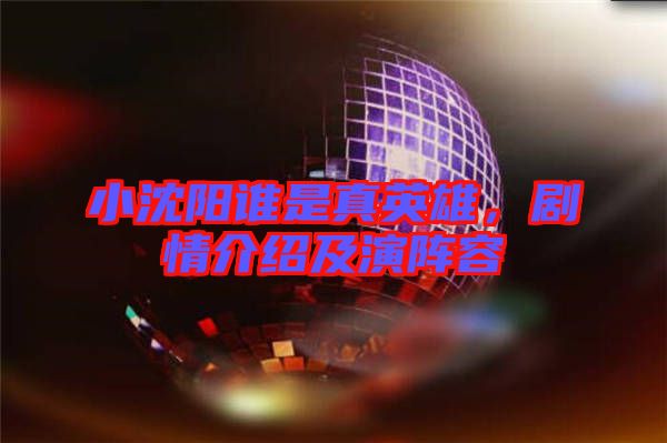 小沈陽誰是真英雄，劇情介紹及演陣容