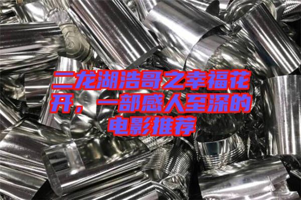 二龍湖浩哥之幸?；ㄩ_，一部感人至深的電影推薦