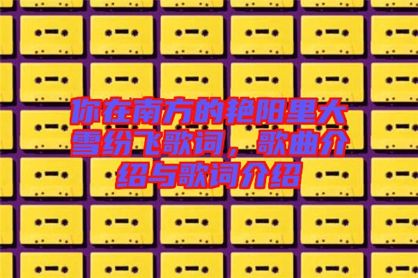 你在南方的艷陽(yáng)里大雪紛飛歌詞，歌曲介紹與歌詞介紹