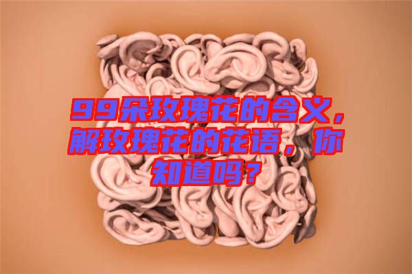 99朵玫瑰花的含義，解玫瑰花的花語(yǔ)，你知道嗎？