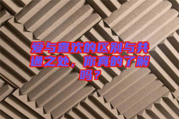 愛與喜歡的區(qū)別與共通之處，你真的了解嗎？
