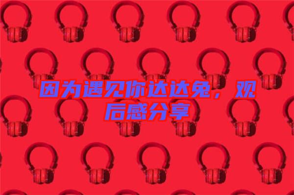 因?yàn)橛鲆娔氵_(dá)達(dá)兔，觀后感分享