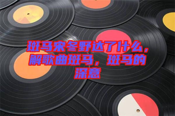 斑馬宋冬野達(dá)了什么，解歌曲斑馬，斑馬的深意