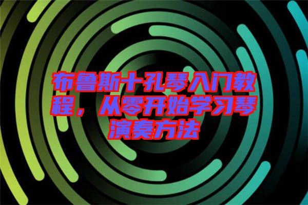 布魯斯十孔琴入門教程，從零開始學(xué)習(xí)琴演奏方法