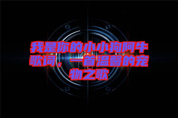 我是你的小小狗阿牛歌詞，一首溫馨的寵物之歌