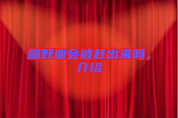 蹦野迪會被趕出來嗎，介紹