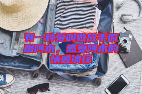 有一種愛叫做放手原唱阿木，感受阿木的情感演繹