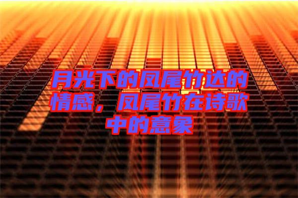 月光下的鳳尾竹達(dá)的情感，鳳尾竹在詩(shī)歌中的意象