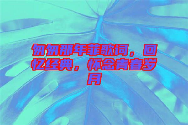 匆匆那年菲歌詞，回憶經(jīng)典，懷念青春歲月