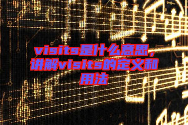 visits是什么意思，講解visits的定義和用法