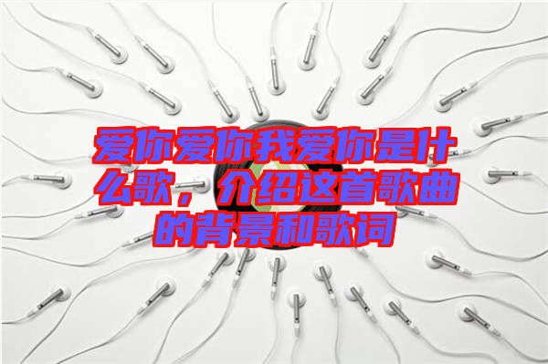 愛你愛你我愛你是什么歌，介紹這首歌曲的背景和歌詞