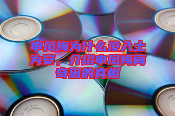 申鳳梅為什么沒入土為安，介紹申鳳梅離奇因的真相