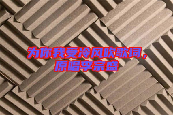 為你我受冷風(fēng)吹歌詞，原唱李宗盛