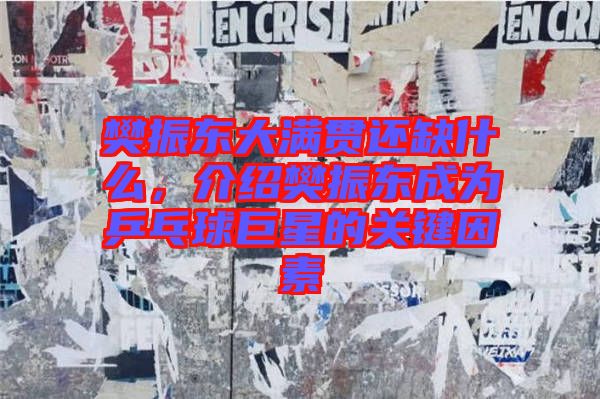 樊振東大滿貫還缺什么，介紹樊振東成為乒乓球巨星的關(guān)鍵因素