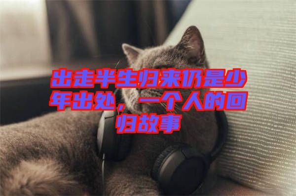 出走半生歸來仍是少年出處，一個人的回歸故事