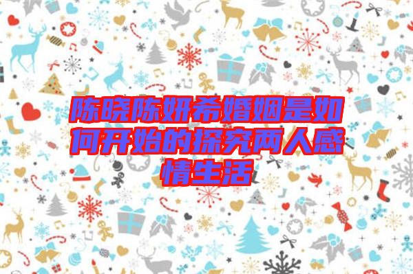 陳曉陳妍?；橐鍪侨绾伍_(kāi)始的探究?jī)扇烁星樯? width=