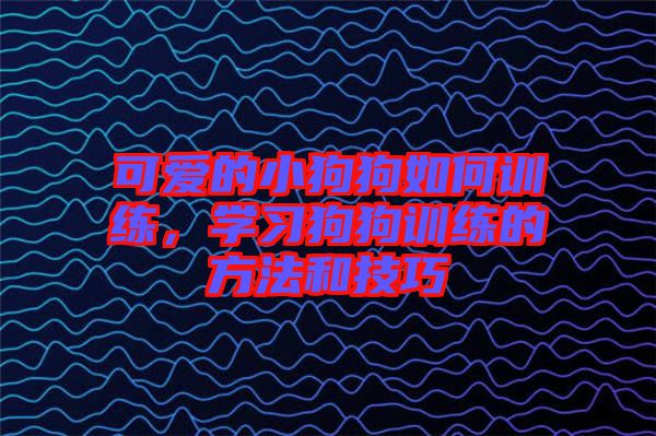 可愛的小狗狗如何訓(xùn)練，學(xué)習(xí)狗狗訓(xùn)練的方法和技巧