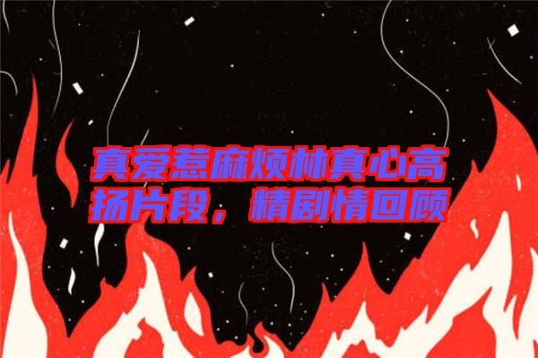 真愛惹麻煩林真心高揚片段，精劇情回顧