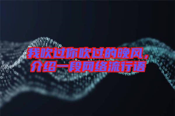 我吹過你吹過的晚風，介紹一段網(wǎng)絡流行語