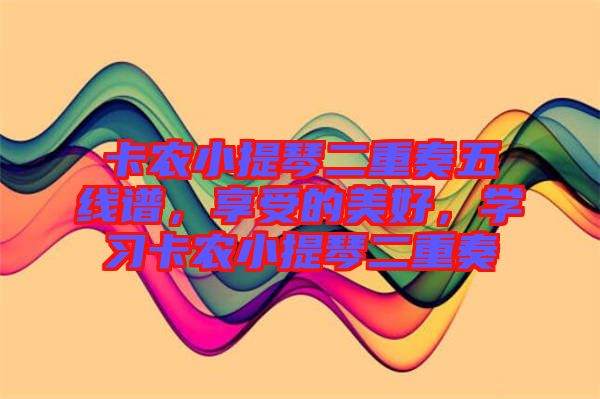 卡農(nóng)小提琴二重奏五線譜，享受的美好，學(xué)習(xí)卡農(nóng)小提琴二重奏