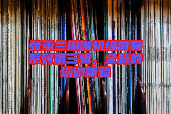 張蕙蘭瑜伽初級(jí)簡(jiǎn)易系列第三輯，全新的瑜伽體驗(yàn)