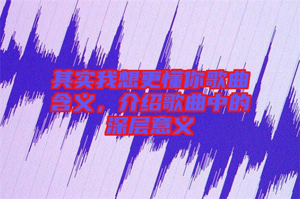 其實(shí)我想更懂你歌曲含義，介紹歌曲中的深層意義